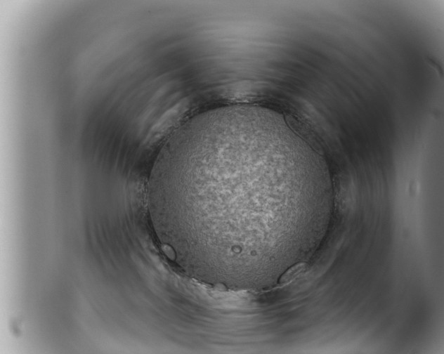 X0000102240044200808011258