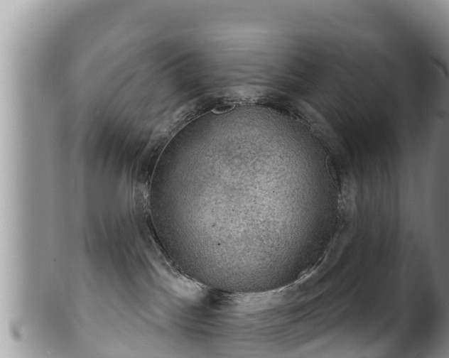 X0000102240045200808011258