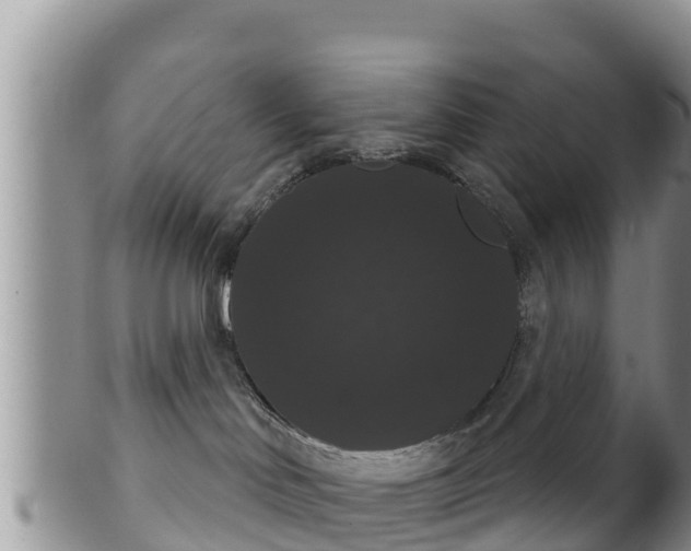 X0000102240046200808011258