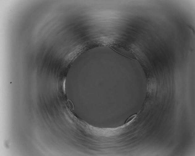 X0000102240047200808011257