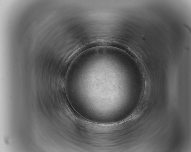 X0000102240048200808011257