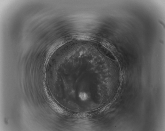 X0000102240049200808011257