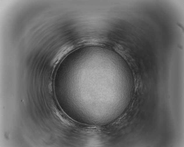 X0000102240050200808011257