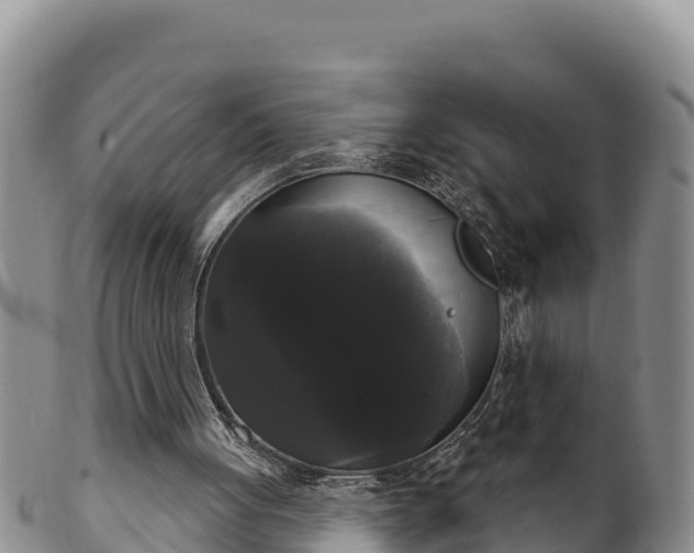 X0000102240051200808011257