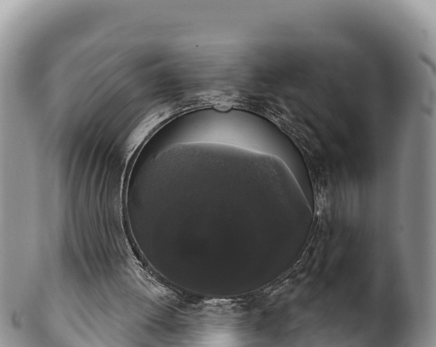 X0000102240052200808011257