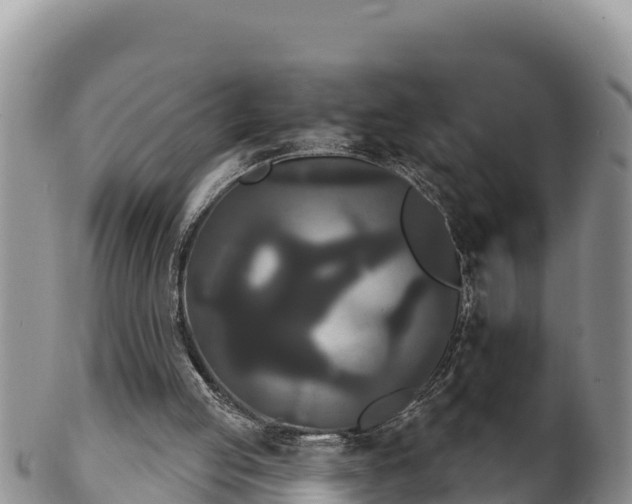 X0000102240053200808011257