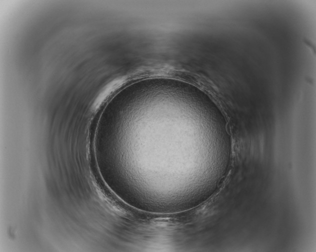 X0000102240054200808011257