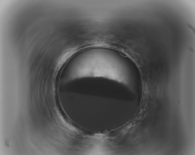 X0000102240055200808011257