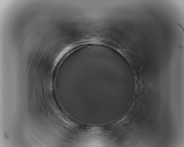 X0000102240056200808011257