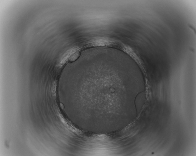 X0000102240058200808011257