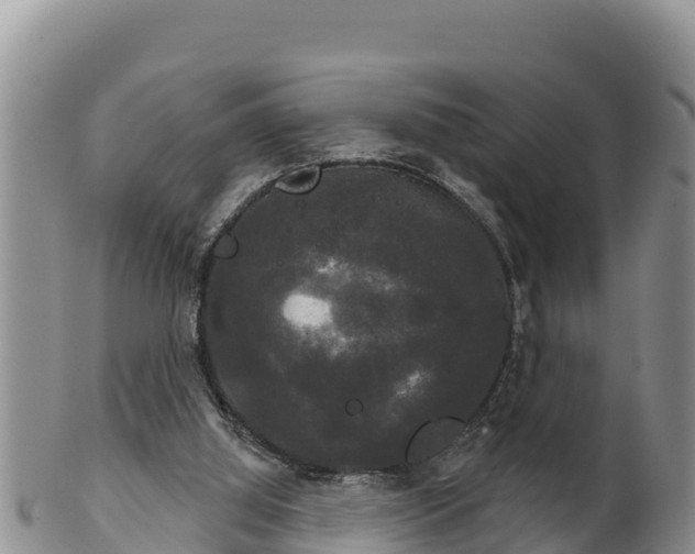 X0000102240060200808011257