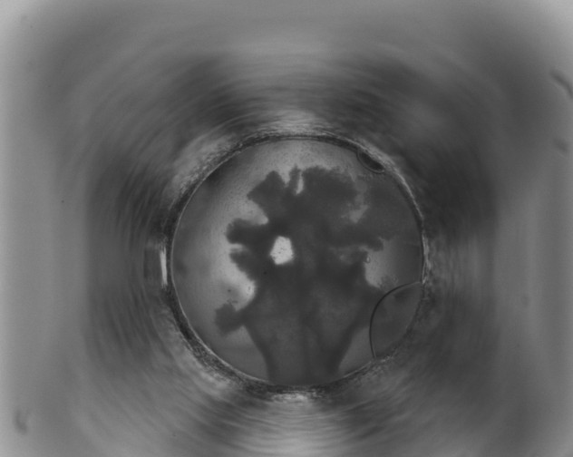 X0000102240061200808011257