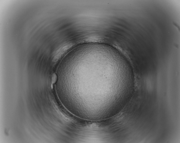 X0000102240062200808011257