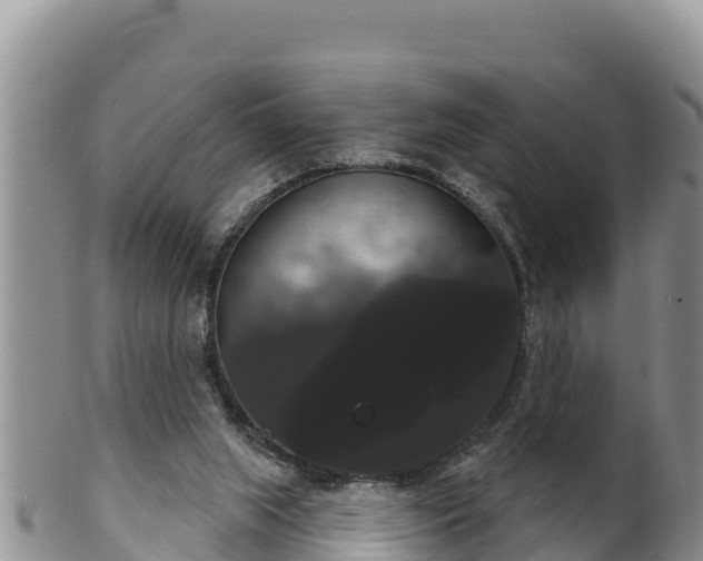 X0000102240063200808011257