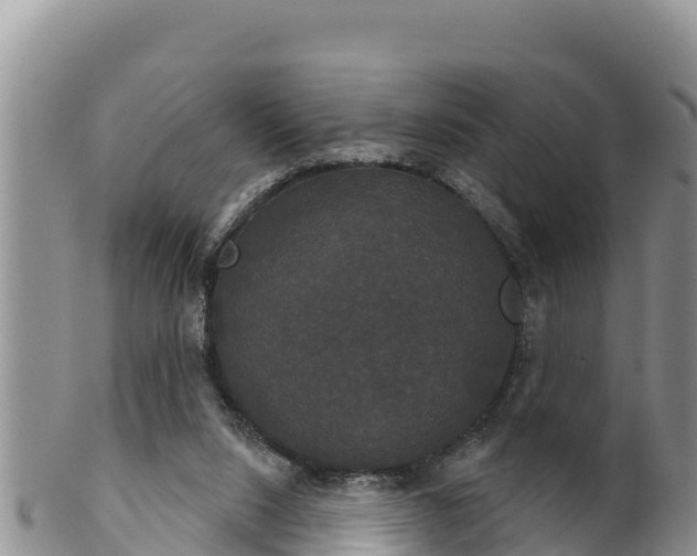 X0000102240064200808011257