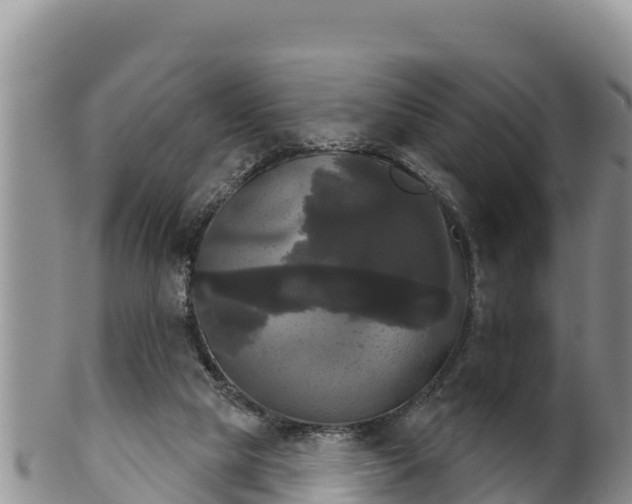 X0000102240065200808011257