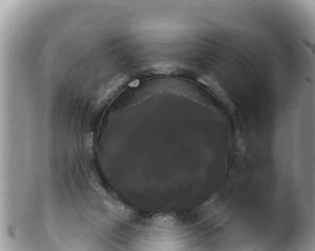 X0000102240066200808011257