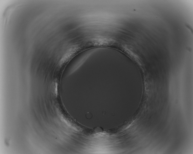 X0000102240067200808011257