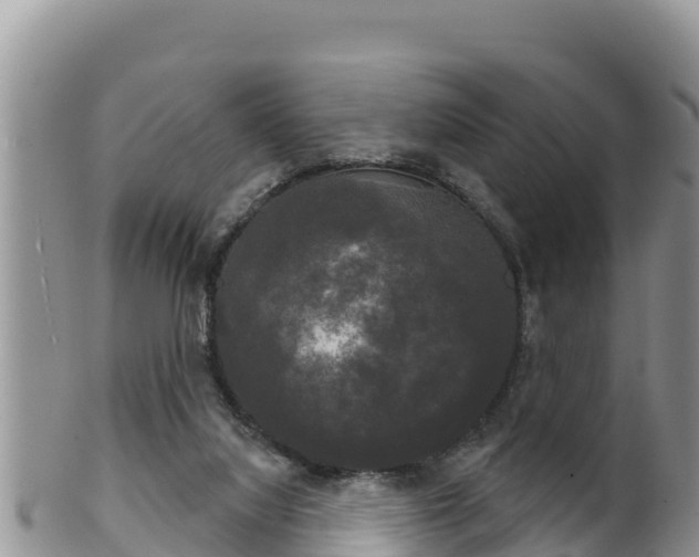 X0000102240068200808011257