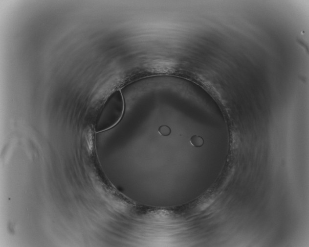 X0000102240069200808011257