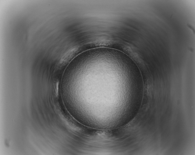 X0000102240070200808011257