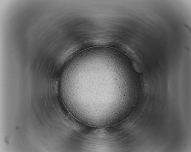 X0000102240071200808011257