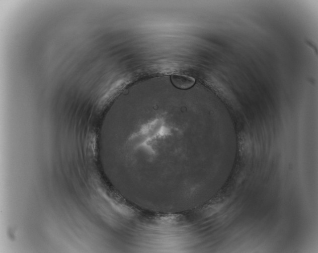 X0000102240072200808011257