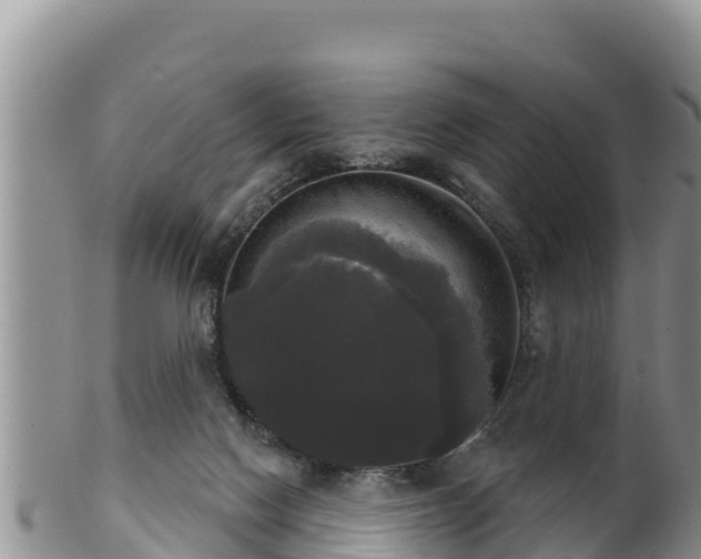 X0000102240074200808011257