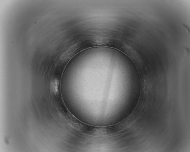 X0000102240075200808011257