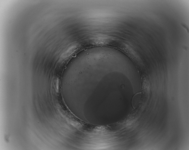 X0000102240076200808011257