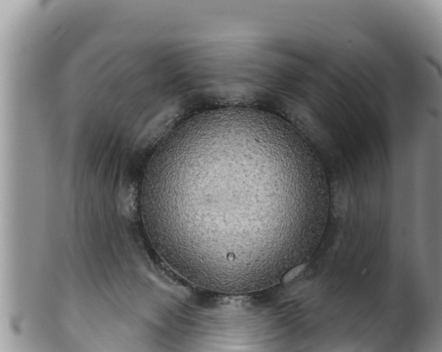 X0000102240077200808011257