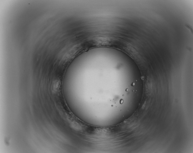 X0000102240079200808011257