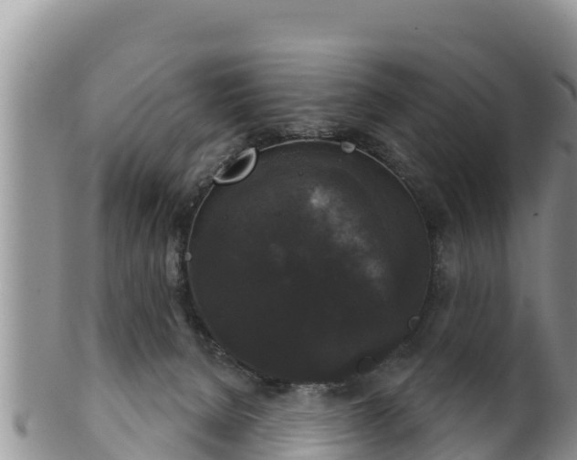 X0000102240080200808011257