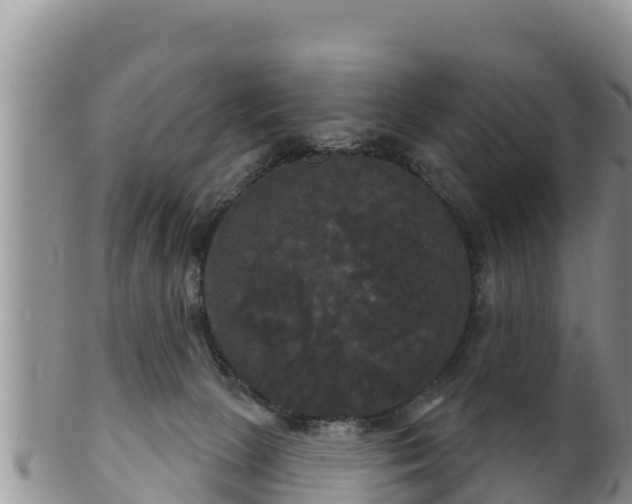 X0000102240081200808011257