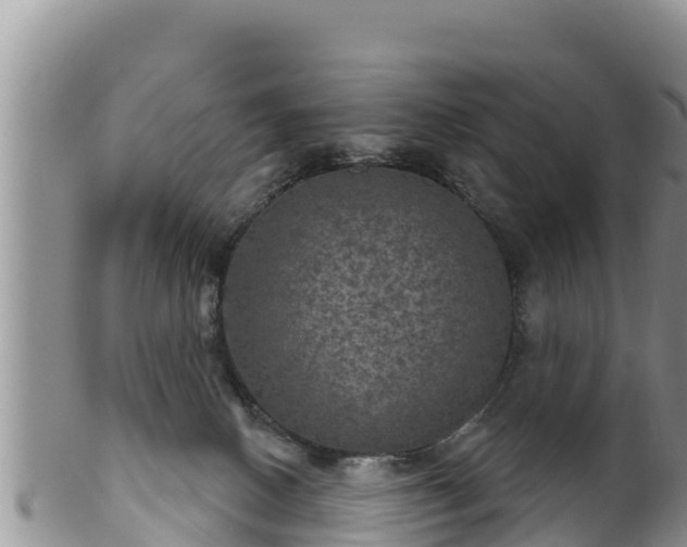 X0000102240082200808011257