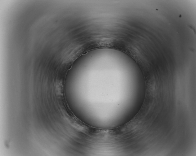 X0000102240083200808011257