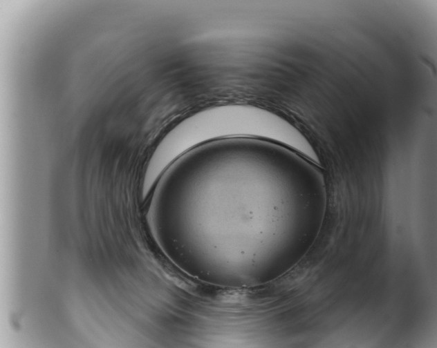 X0000102240084200808011257