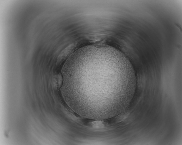 X0000102240085200808011257