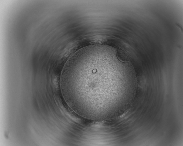 X0000102240086200808011257