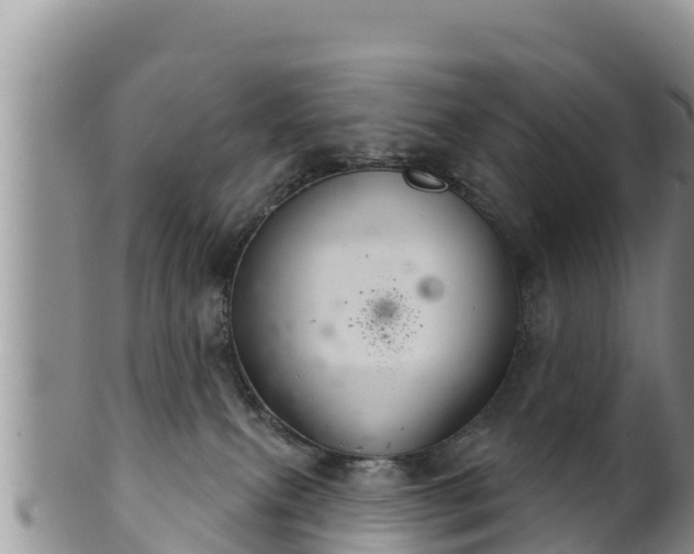 X0000102240087200808011257