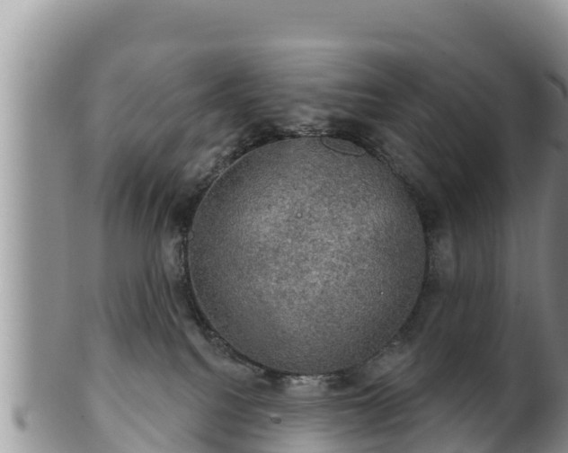 X0000102240088200808011257