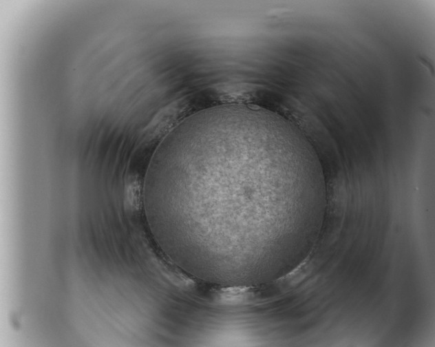 X0000102240090200808011257