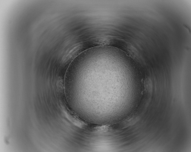 X0000102240092200808011257