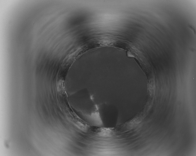 X0000102240093200808011257