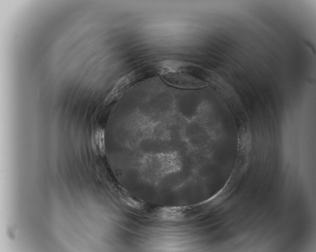 X0000102240094200808011257