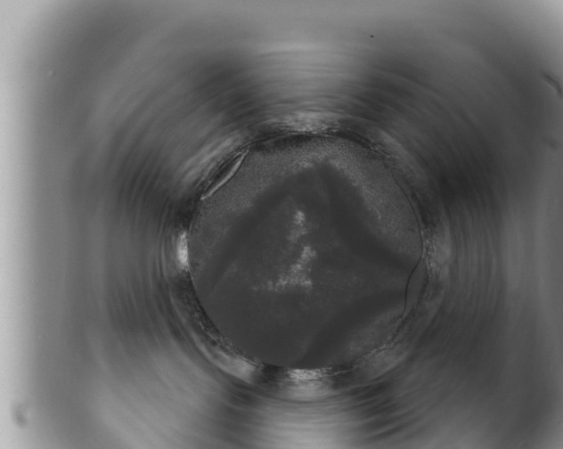 X0000102240095200808011257