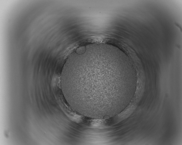 X0000102240096200808011257