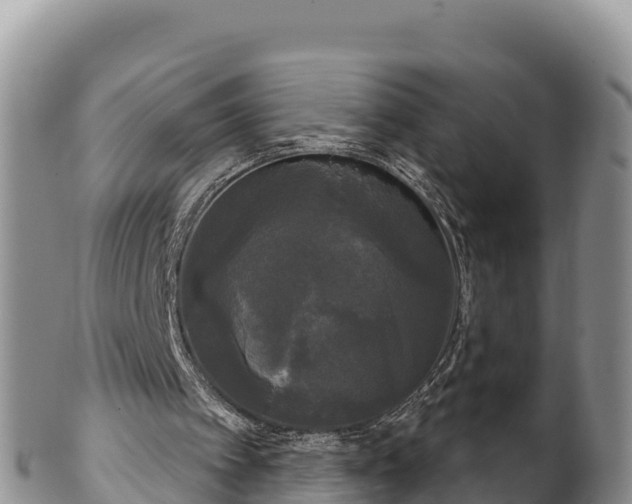 X0000102240097200808011257