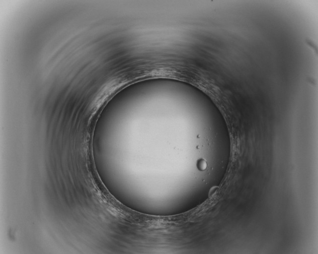 X0000102240098200808011257