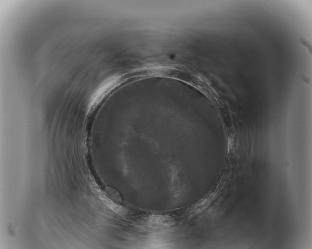 X0000102240101200808011257